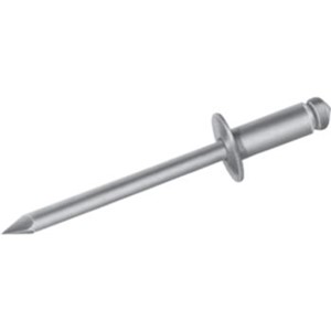 Insulation Fasteners                                                            Pin Rivets  Steel Body & Mandrel                                                - Hollow rivets assembled on a                                                    solid mandrel