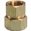 AutoFlare   Fittings & Accessories                                               AutoFlare   Straight Fitting (FPT)                                               - For use in indoor, outdoor, and                                                 concealed location applications                                               - Stainless steel and yellow brass                                              - Operating pressure: 25 psig                                                   - Operating temperature range: -20   to 200  F                                    - CSA Certified                                                                 - ANSI and IAPMO Listed